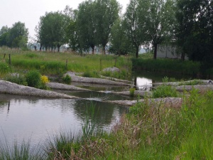 Vistrap Nerenweg